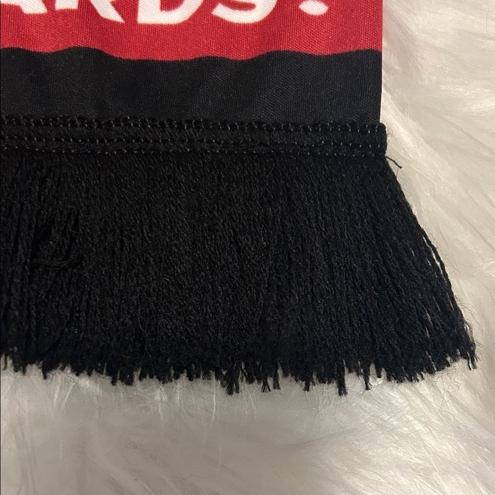 Arizona Cardinals Black & Red Graphic Scarf “LET’S GO CARDS!” “RISE UP RED SEA!” - Picture 9 of 9